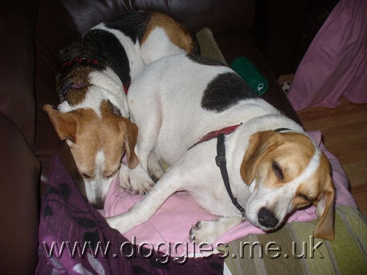 Who turned on the light